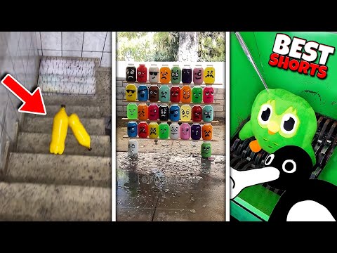 😎Best SHORTS Compilation - ZOOKA