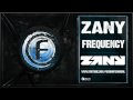 Zany - Frequency 