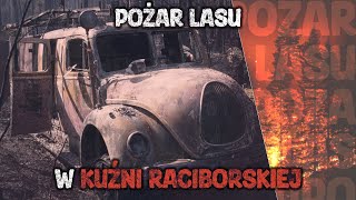 Płomienie paliły wozy strażackie. Pożar lasu w Kuźni Raciborskiej 1992 roku.