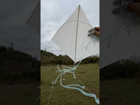 Peguei o papagaio branco de leite em São José da lapa MG!!! #kiteflying #pipa #papagaio #toys