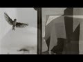 Bernard Plossu - YouTube