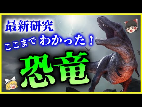 ディプロドク科について詳しく解説