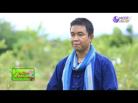 รักษ์ผืนดินถิ่นส.ป.ก. ปี๒/ตอนที่๑๗. เรื่องสหกรณ์การเกษตรในเขตปฏิรูปที่ดินปากช่อง มีระบบการลดต้นทุนเพื่อเพิ่มรายได้ให้เกษตรกร