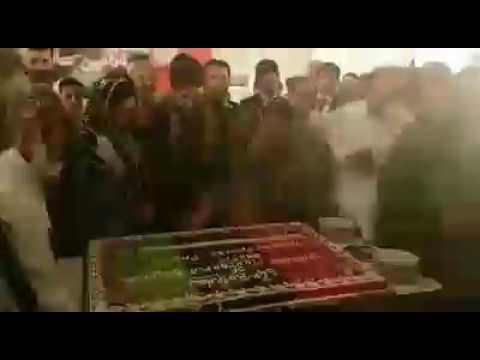 Bilawal Bhutto Zardari cutting the Birthday cake - 64th Birthday anniversary