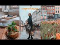Let S Go Shopping In Copenhagen Fashion Books Food On Strøget Sissel