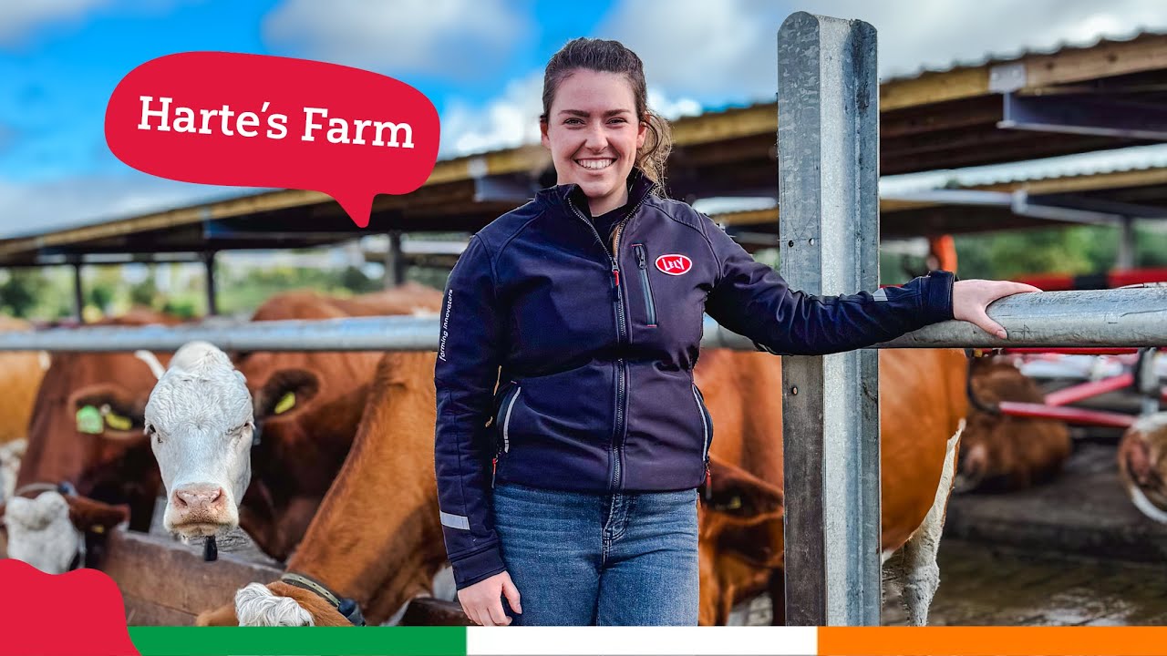 Bedre bunnlinje og lykkeligere kyr hos Harte’s Farm