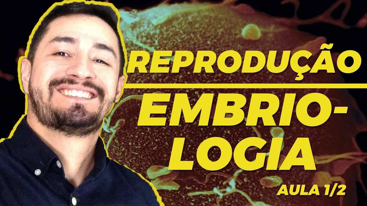 REPRODUÇÃO | EMBRIOLOGIA - segmentação, célula tronco, gravidez ectópica, Gêmeos, gravidez.
