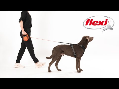 How to use a flexi® Leash - The only original retractable leash 2024