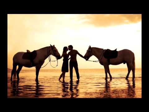 Josef Voltr - Mně sílu dáš ( You raise me up )