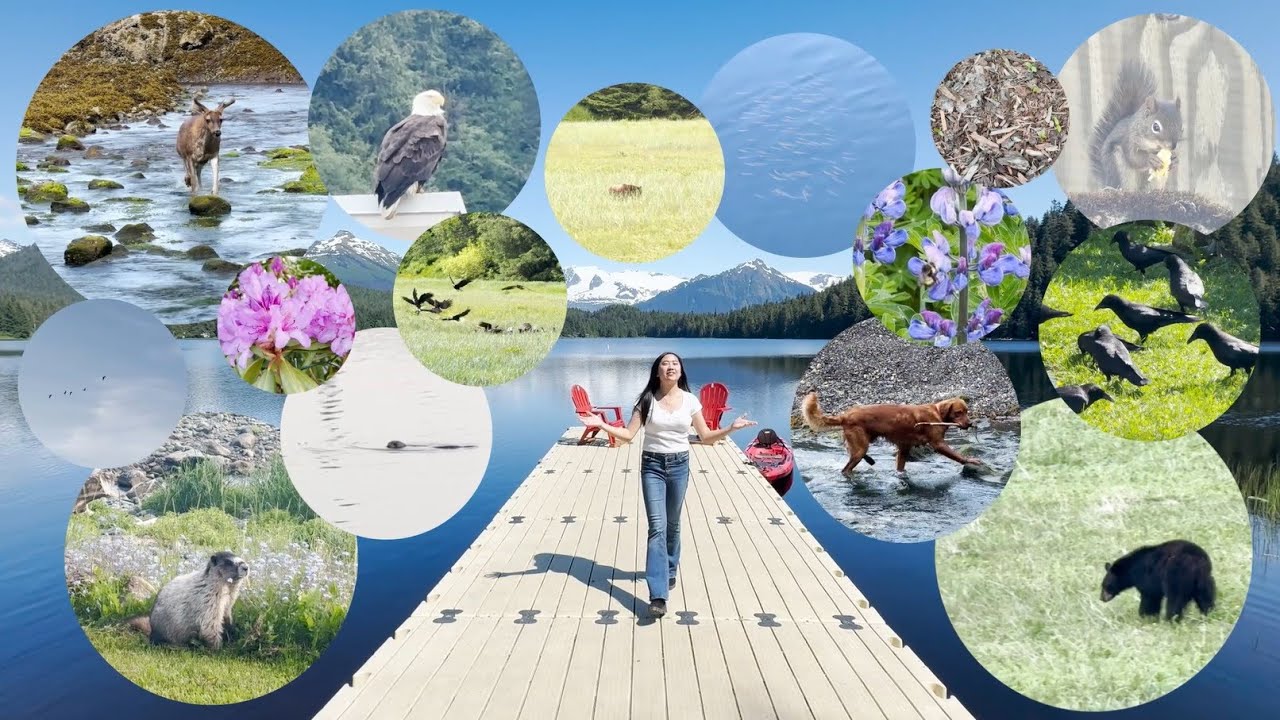 Environmental DNA Metabarcoding, Elizabeth Djajalie, 2024 Khan Academy Breakthrough Junior Challenge