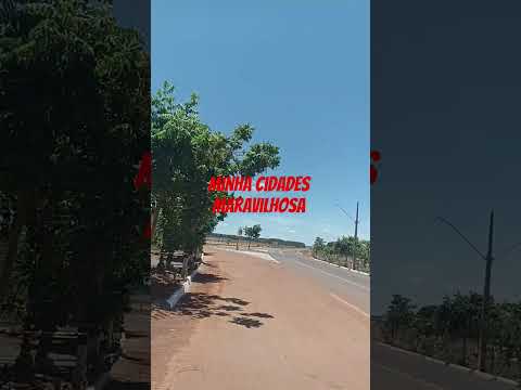 buritis de minas gerais linda