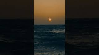 Download lagu 💞Muthu nagaye muzhu nilave song 💞 status 💞 mp3