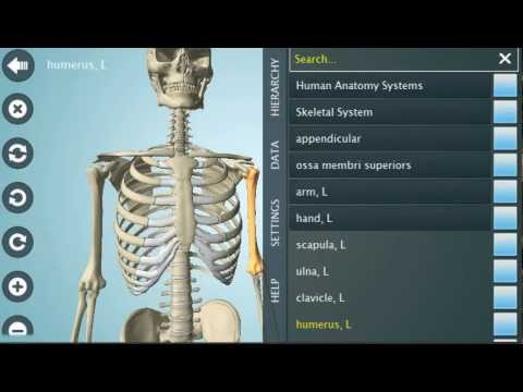 Vídeo de Anatomy 3D Pro