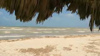 preview picture of video 'Sonidos de Sisal Yucatan'
