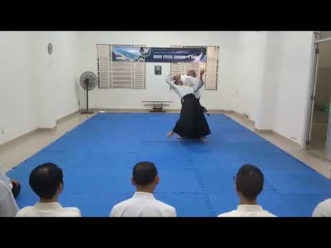 [Horii Etsuji Shihan] Katate-dori Irimi