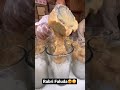 60saal Purani Rabri Falooda Indian Street Food
