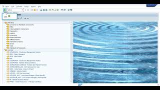 Inbound delivery creation in SAP
