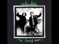 Sebadoh   Healthy Sick