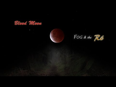 Blood Moon Fog and the Canon R6