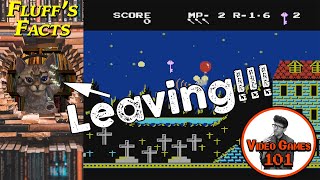 Fluff Leaves Video Games 101
