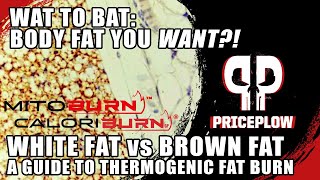 Body Fat You WANT?! Brown Fat vs White Fat, and How to Boost It (WAT to BAT)
