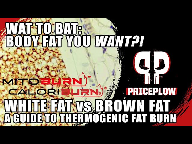Body Fat You WANT?! Brown Fat vs White Fat, and How to Boost It (WAT to BAT)