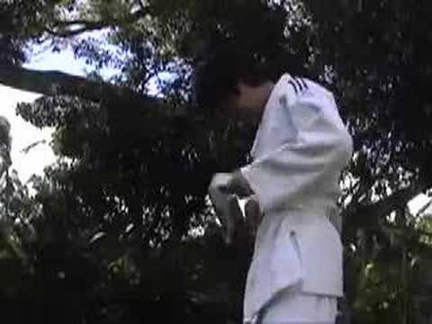 Swordpanther: Jade Warrior of the Heavens