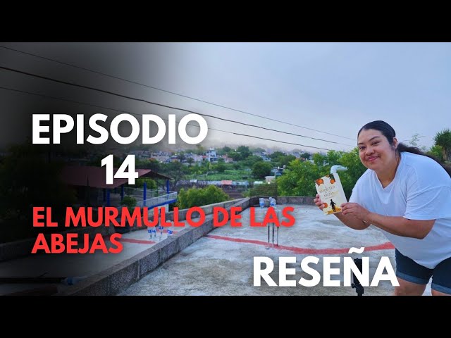 Vídeo relacionado con Chispa, la Avispa