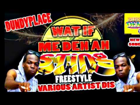DUNDYPLACE - WAT IF ME DEH AH STING???? FREESTYLE (VARIOUS ARTIST DISS) RUSHDEM MUZIK [SEPT 2013]