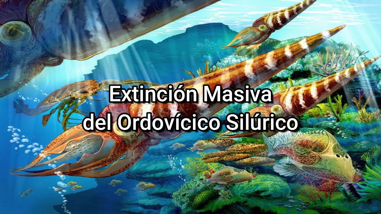 ¿Cuáles son las características del período Ordovícico y Silúrico