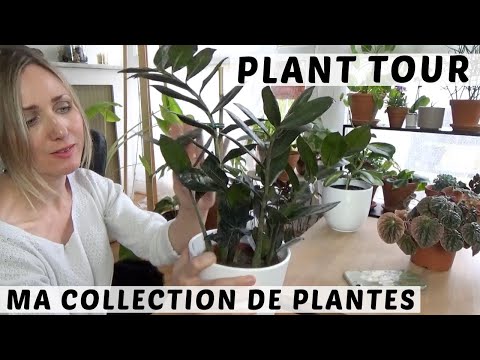 , title : 'PLANT TOUR #2 | MA COLLECTION DE PLANTES D'INTÉRIEUR : SUITE ET FIN'