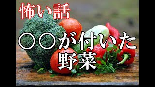 【怖い話】○○が付いてる野菜【ゆっくり】