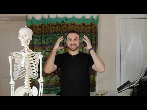 Massage Overview