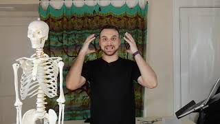Massage Basics: Anatomy Overview Pt 1