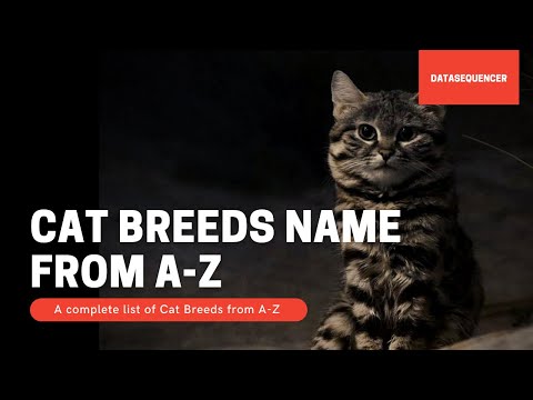Cat Breeds Name A-Z : A complete list of Cat Breeds from A-Z , Origin and Characteristics