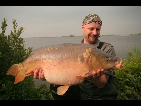 Matze Koch: Carp at a distance at the lake