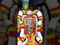 Om Namo Venkatesha Namaha L Saturday WhatsApp Status God Tirupati Shorts Viral