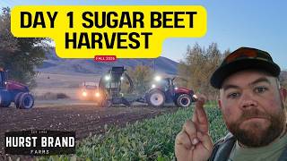 I’ll Never Plant a Field Like This Again (Sugar Beet Harvest Day 1)
