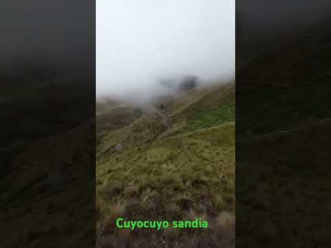 #sandia #puno  selva de puno paisaje hermoso de cuyocuyo.
