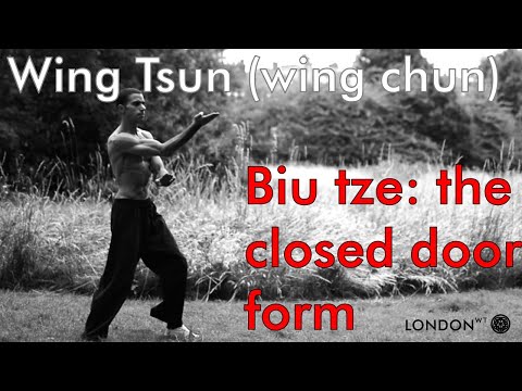 Biu tze: the closed door form. Wing tsun (chun) biu tze (tjee/jee) shadow drills and form