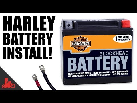 How To Change Battery on Harley Sportster!