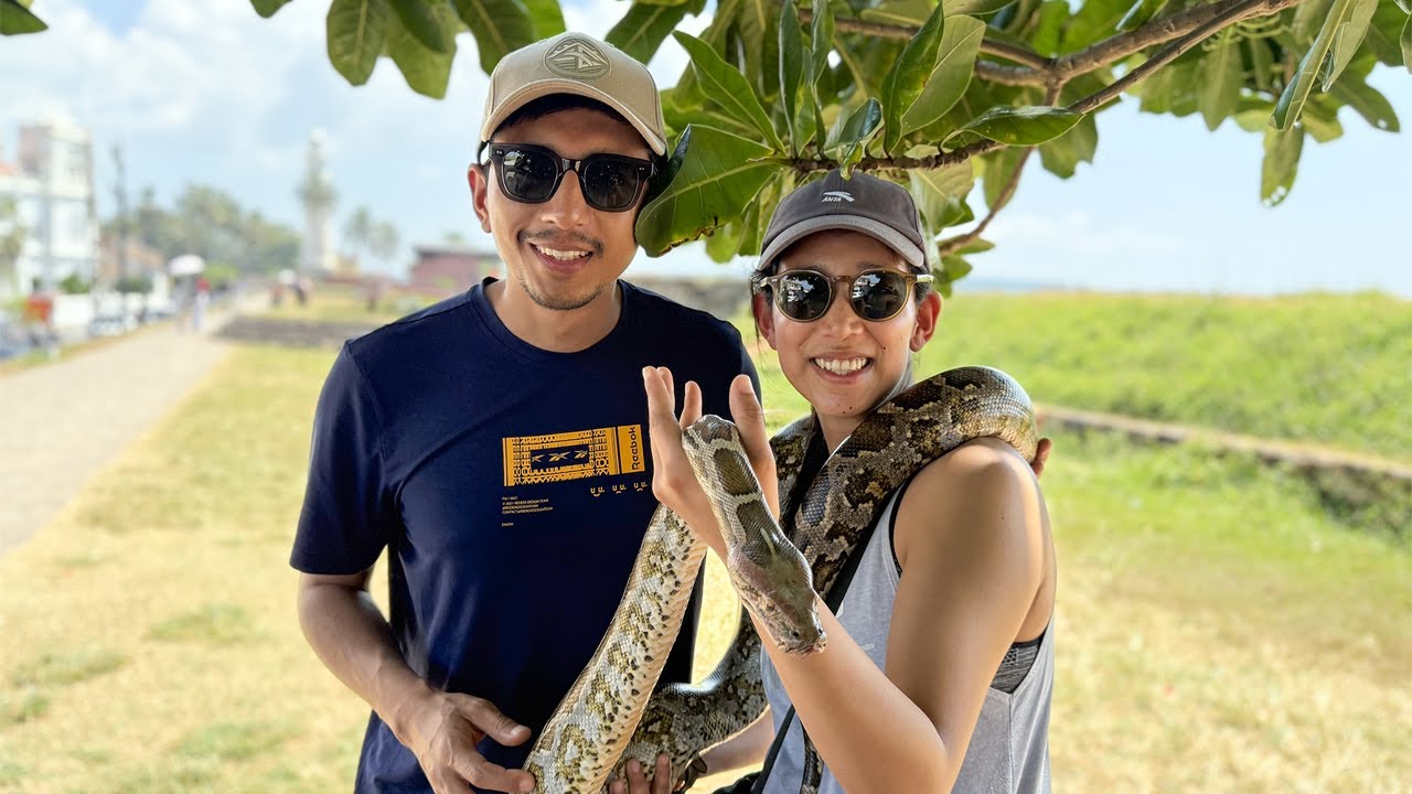 Experience Eco Friendly River Safari with this virtual tour.