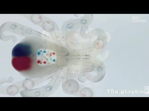 Octobot Review Video 2