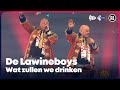 De Lawineboys - Wat zullen we drinken // Sterren NL Carnaval 2023