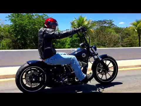 Custom Harley Davidson Breakout Ape Hanger (Rennel from Brazil)