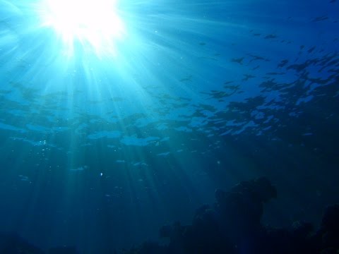 Cozumel Mexico Diving Columbia Deep 80ft Drop In