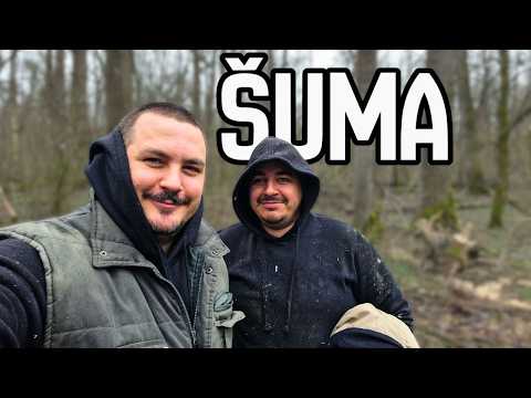 VRAĆAMO SE JAČI NEGO IKAD | Napokon šuma