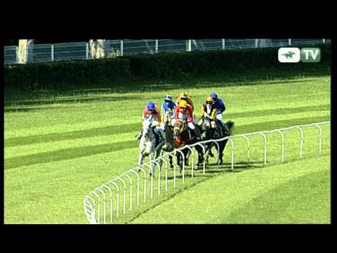 23.06.2012 (D20;G4; tor: 2,9; 24°C)