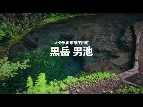 【大分の絶景/2025夏】黒岳|男池湧水群