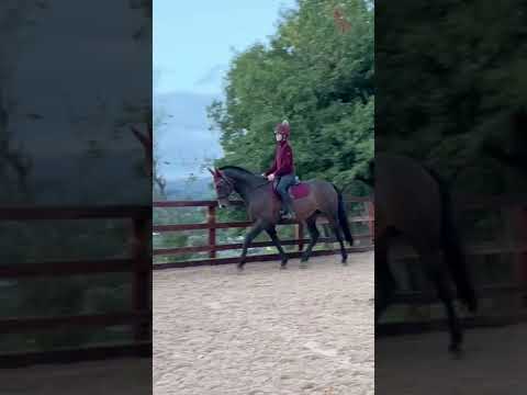 Flatwork!
